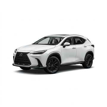 Lexus NX AZ20 汽車窗簾安裝案例