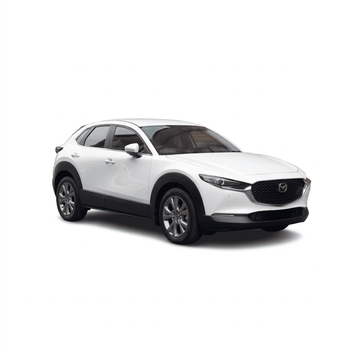 Mazda CX30 汽車窗簾安裝實例